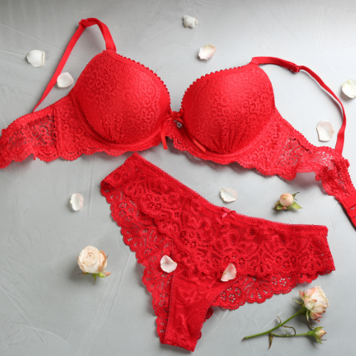 Red Lace Bikini Panty for Women – Stylish Sheer Lace Brief with Metal Ring Detail | Premium Comfortable Lingerie